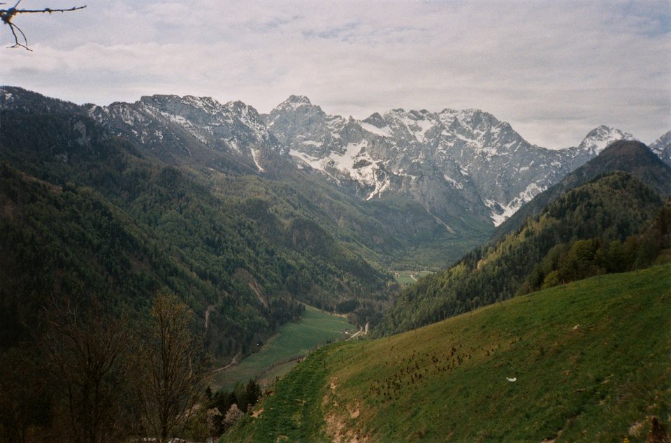 26
